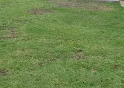 Construction Services (5)